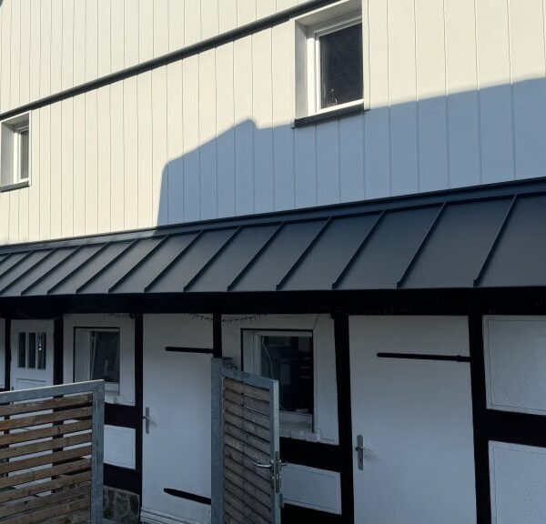 metalldaecher-vordaecher-23